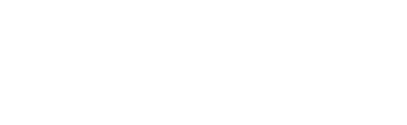 NZBS Ara logo